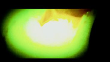 Cumlobian dickdrainers - GOONIE TEAM