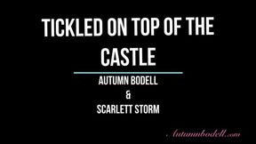 Tickled on Top of the Castle