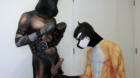 Sly Fox, Silly Pony - Bondage Edging PetPlay FUN!