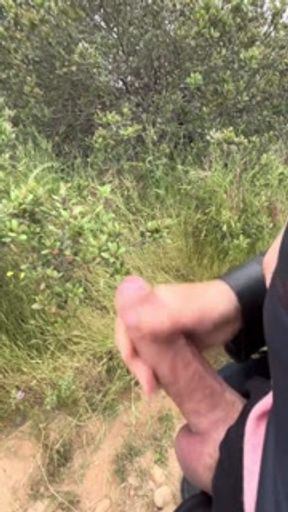 Walking in a forest with my girlfriend ended with handjob