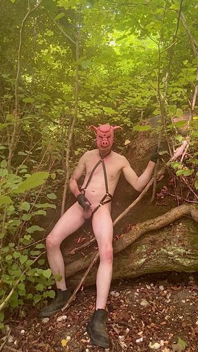 Kinky Man In Woods Makes His Penis Cum