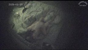 上帝視角 續 白嫩嫩的美女還沒睡醒就開始挨操了 都是激情的人 光動作狂野根本不夠 還有跳蛋上場2