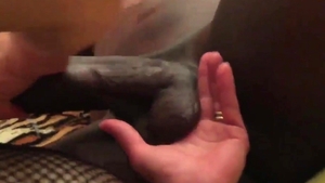 Surprise! Wife Swallows Massive Black Dick