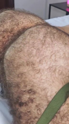 Two Bearded Bulls. One Unforgettable Session.