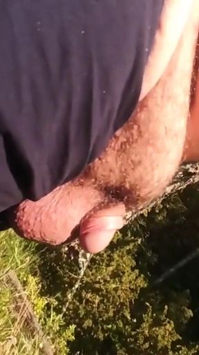 Just a Small Piss From Daddy