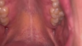 Lydia's First Mouth Tour