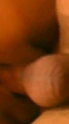 Mature Vixens Devoured in Sloppy Retro Group Pound