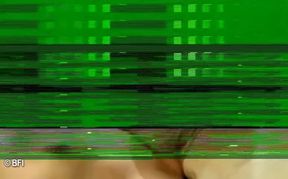Transsexual cock suckers