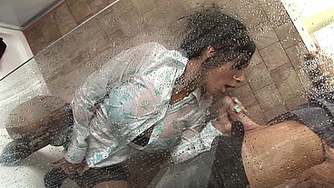 Romana Gets Fucked In The Shower