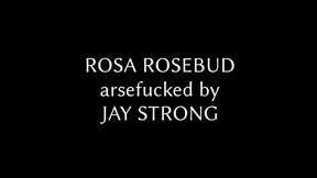 BBC Arsefuck for Rosa Rosebud