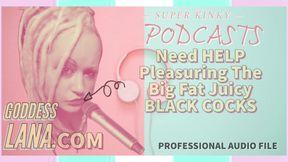 Audio Only - Kinky Podcast 8 Needs Help Pleasuring the Big Fat Black Juicy Cocks