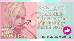 Audio Only - Kinky Podcast 8 Needs Help Pleasuring the Big Fat Black Juicy Cocks
