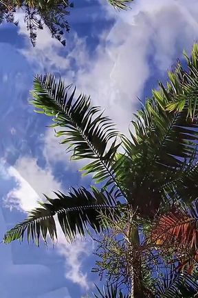 Amateur Gangbang Party with Alexa Gold &amp; Farah Slut