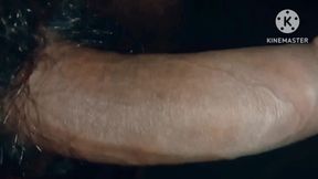 Indian Desi Boy Land Masturbation