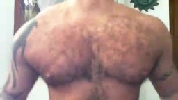 Big Hairy Pecs