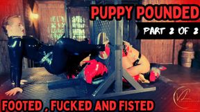 Puppy Pounded - Part 2 of 2 - Double Fisted, Fucked and Footed by Vivienne l'Amour