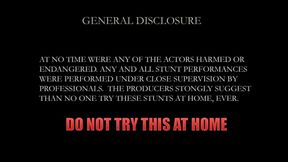 LIASION AT THE LADDER HARLEY QUINN