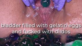 bladder filled with gelatin eggs and fucked with dildos - uncaptioned