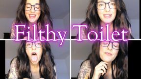 Filthy Toilet