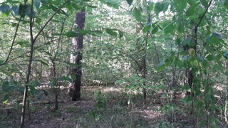 Paid for a cigarette with cunnilingus in the forest. Damn it was not caught by a passer-by, but she