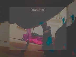 The Pleasures Behind the Silent Snow