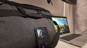 Voila Comment Ce Passe Une Visio Avec Ma Chienne