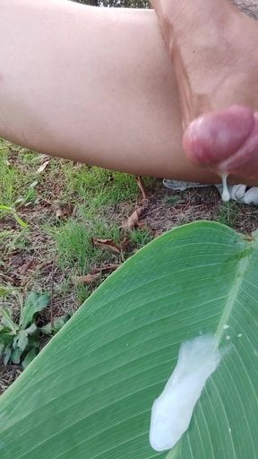 Nude Walks in the Park Peeing and Masturbating