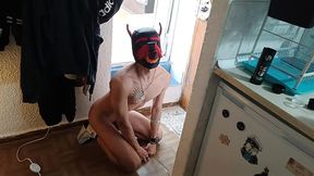 who let the dog out?!!! by leo bulgari & puppy tito catulo - full amazing video!!!