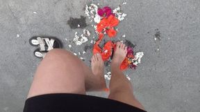 crush and jump on flowers barefoot and wearing flip flops ST