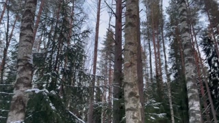 Hot anal sex after a walk in the forest.