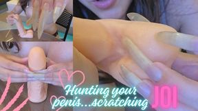 (1080p) Hunting your penis and balls, the best scratching JOI, closeup of my claws!!