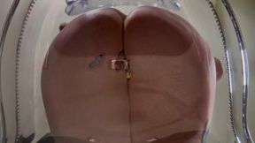 Unaware Giantess Sits on Tinies & Traps Them in Her Huge Ass