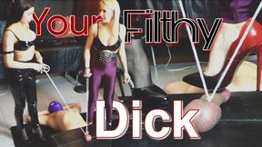 IL TUO CAZZO COME UN SALAME CALPESTATO