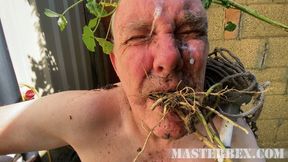 Pissed on and spat on and treated like filth - Master Bex - MP4 HD