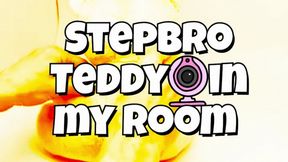 Stepbro teddy Cam