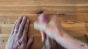 Intense groaning takes control during realism hour