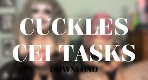 CUCKLES CEI TASKS