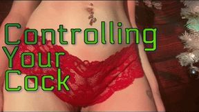 Controlling Your Cock (HD) WMV