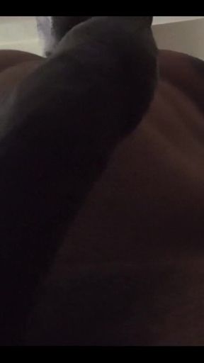 Random Clips! Ya Boi Been Horny!