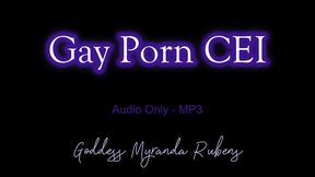 Gay Porn CEI - Audio Only MP3