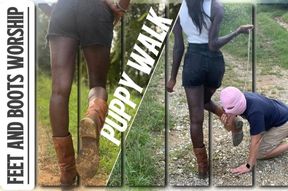 Don’t forget to take your dog out