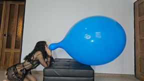 Big punch to pop with a 40 inch long rubber cat neck balloon