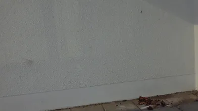 Transparent White Panty And Bicolor Stockings For Peeing