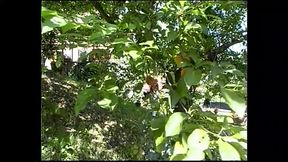 A wild anal ride for a hot blonde amateur girl