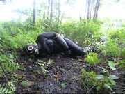 frogman quickly jerks off in shallow mud