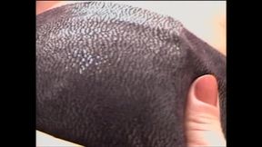 Blonde Hot Shemale Big Boobs Hard Rough Asshole Fuck Vol 3