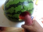 Dany x : Gay Melon
