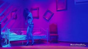 Public Strip and Toy live Show Club