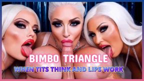 TRINITY OF BIMBoTITJOBS