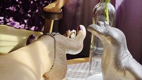 Milah the absolute Queen of the Highly Arched Feet